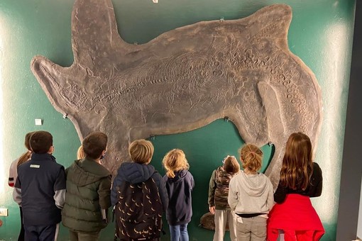 I bambini osservano il fossile presso il museo (foto Museo Civico dei Fossili di Besano)