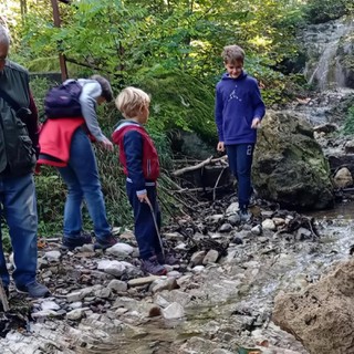 Besano, escursione a piedi sulle tracce dei fossili con visita agli scavi e al museo