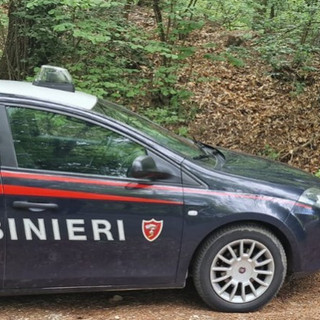 (foto generica d'archivio)