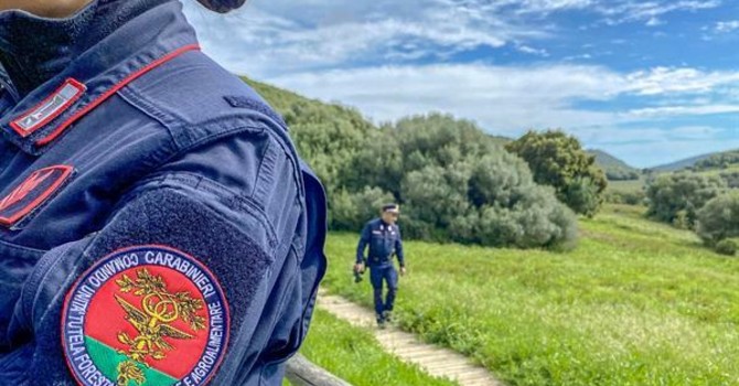 Cugliate Fabiasco, brucia plastica e scarti in un bidone: denunciato dai carabinieri forestali Cugliate Fabiasco, brucia plastica e scarti in un bidone: denunciato dai carabinieri forestali