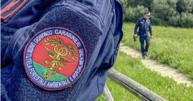 (foto generica d'archivio)