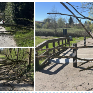 Alcune delle immagini scattate nel pomeriggio di domenica sulla ciclabile del lago tra Buguggiate e Bodio Lomnago