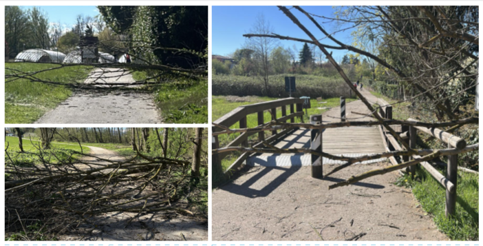 Alcune delle immagini scattate nel pomeriggio di domenica sulla ciclabile del lago tra Buguggiate e Bodio Lomnago Alcune delle immagini scattate nel pomeriggio di domenica sulla ciclabile del lago tra Buguggiate e Bodio Lomnago