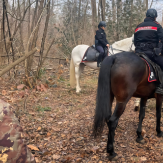 Contro gli spacciatori nei boschi del Varesotto arrivano anche i carabinieri a cavallo