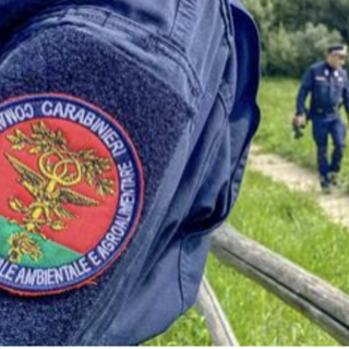 (foto generica d'archivio)