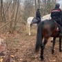 Contro gli spacciatori nei boschi del Varesotto arrivano anche i carabinieri a cavallo Contro gli spacciatori nei boschi del Varesotto arrivano anche i carabinieri a cavallo