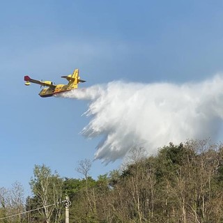 Canadair in azione per domare l'incendio di Angera