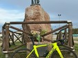 Qui e sotto un mazzo di fiori, la bici color Tour de France e Martino a Cesenatico davanti al monumento del Panta