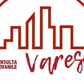 «A Varese una consulta giovanile senza i giovani»