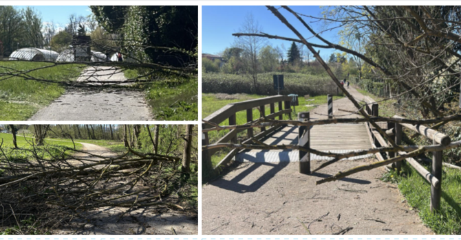Alcune delle immagini scattate nel pomeriggio di domenica sulla ciclabile del lago tra Buguggiate e Bodio Lomnago Alcune delle immagini scattate nel pomeriggio di domenica sulla ciclabile del lago tra Buguggiate e Bodio Lomnago