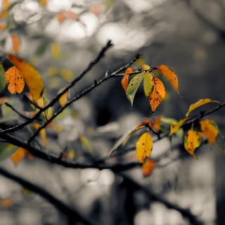 Profumo d'autunno con nuvole e pioggia. Weekend coperto