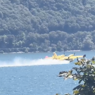 Valle Cannobina, la pioggia doma l’incendio: Canadair in azione per la bonifica Valle Cannobina, la pioggia doma l’incendio: Canadair in azione per la bonifica