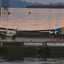 Remi posati sul pontile alla Canottieri per Marian Jasik Remi posati sul pontile alla Canottieri per Marian Jasik