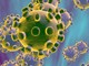 L'esperto avverte: «Il Coronavirus incarna paure inconsce, ma il vero pericolo è il panico»