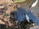 L'inciviltà colpisce il laghetto dei Giardini: i cigni si fanno largo tra plastica e scarti di cibo