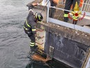 Capriolo nel canale: salvato dai vigili del fuoco