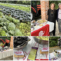 La presentazione del progetto  “Varese? Che città del cavolo!” di questa mattina negli spazi dell'Ortobiobroggini