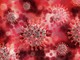 Coronavirus: Settori in crescita tra abitudini che cambiano