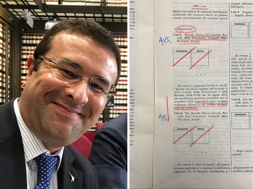 L'onorevole Candiani e l'emendamento presentato da Alleanza Verdi-Sinistra