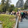 In centinaia per la prima passeggiata sulla nuova ciclopedonale del lago di Ghirla inaugurata oggi