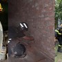 Gatto intrappolato tra due muri a Cislago: i vigili del fuoco aprono dei varchi e lo salvano Gatto intrappolato tra due muri a Cislago: i vigili del fuoco aprono dei varchi e lo salvano