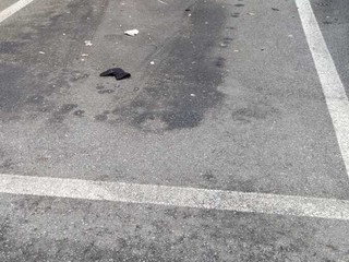 Le immagini scattate dalla lista civica Vivere Gavirate