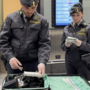 Controlli della Gdf a Malpensa
