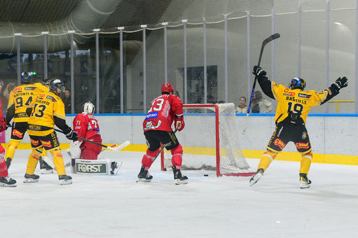 Forza Mastini, quelli veri Forza Mastini, quelli veri
