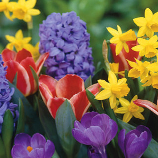 Maggio a Varese: natura da scoprire ovunque