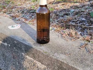 Le immagini scattate dalla lista civica Vivere Gavirate