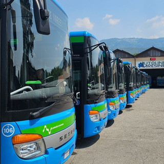 Un'opportunità con Autolinee Varesine: l'azienda cerca giovani tra 21 e 30 anni