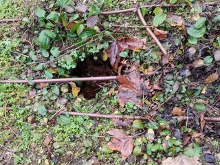 Le immagini scattate dalla lista civica Vivere Gavirate