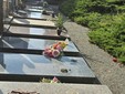 Le immagini del raid al cimitero di Gorla Minore