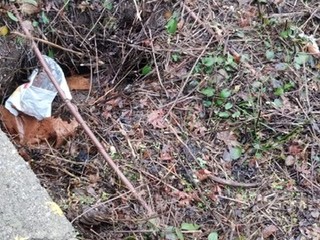 Le immagini scattate dalla lista civica Vivere Gavirate