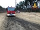 Fiamme al bosco di Panperduto, super lavoro dei vigili del fuoco ad elicottero: incendio sotto controllo