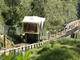 Settimana della mobilità sostenibile, una domenica gratis per la funicolare del Sacro Monte e la funivia di Monteviasco Settimana della mobilità sostenibile, una domenica gratis per la funicolare del Sacro Monte e la funivia di Monteviasco