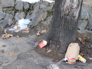 Le immagini scattate dalla lista civica Vivere Gavirate