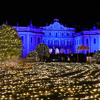 Il Giardino delle Meraviglie a Palazzo Estense