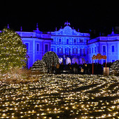 Il Giardino delle Meraviglie a Palazzo Estense Il Giardino delle Meraviglie a Palazzo Estense