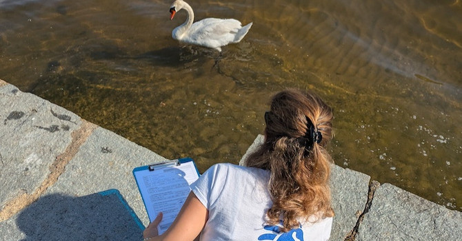 Il verdetto della Goletta dei Laghi: rimandato il lago Maggiore, promosso il Ceresio Il verdetto della Goletta dei Laghi: rimandato il lago Maggiore, promosso il Ceresio
