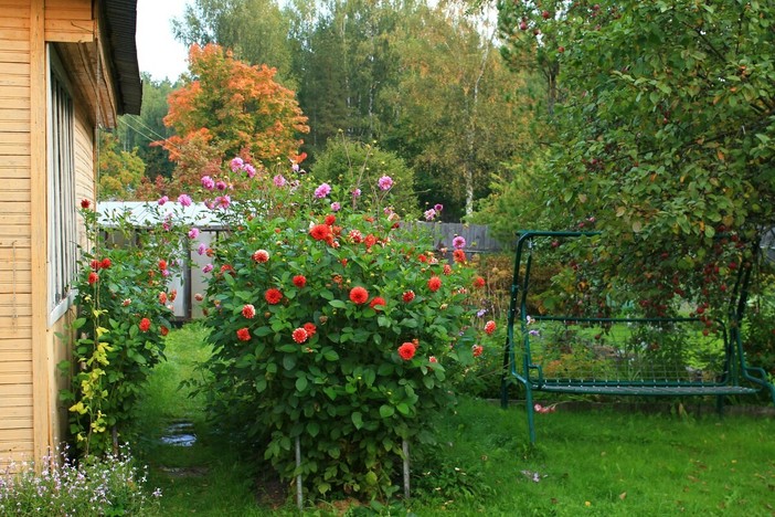 Come organizzare la manutenzione del giardino condominiale