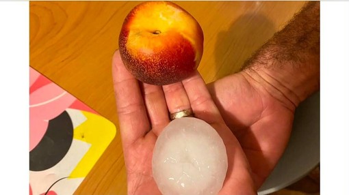 La grandine grande come una pesca da cui è stata bersagliata Seregno (foto via Naturalmeteo) La grandine grande come una pesca da cui è stata bersagliata Seregno (foto via Naturalmeteo)