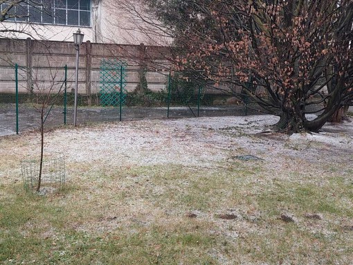 Olgiate, prato imbiancato