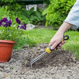 E se il giardino cominciasse in autunno?
