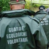 Diventare Guardia Ecologica Volontaria: il Comune di Varese apre le preiscrizioni al nuovo corso Diventare Guardia Ecologica Volontaria: il Comune di Varese apre le preiscrizioni al nuovo corso