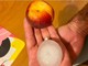 La grandine grande come una pesca da cui è stata bersagliata Seregno (foto via Naturalmeteo) La grandine grande come una pesca da cui è stata bersagliata Seregno (foto via Naturalmeteo)