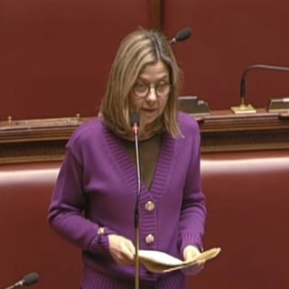 Ambiente, Gadda (IV): «Riciclo eccellenza italiana, ma filiera va sostenuta»