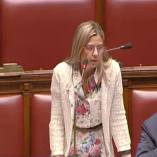 Forze dell'ordine: Gadda, non scaricare su agenti responsabilità governo