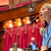 Maria Chiara Gadda sul Decreto fiscale: «La montagna ha partorito il topolino» Maria Chiara Gadda sul Decreto fiscale: «La montagna ha partorito il topolino»