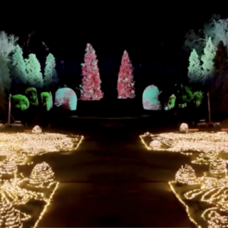 I ladri fanno visita al "Giardino delle Meraviglie". E il furto fa iniziare in ritardo lo spettacolo I ladri fanno visita al "Giardino delle Meraviglie". E il furto fa iniziare in ritardo lo spettacolo